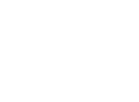 Rapid Cargo